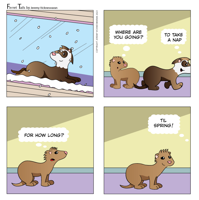 ferret tails December Week 1 cartoon 2023 